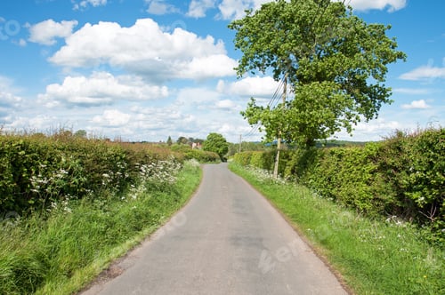 Preview: Country Road In The Summertime.