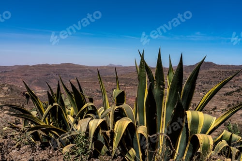 Preview: Landscape In Gheralta In Tigray, Northern Ethiopia.