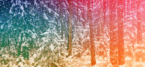 Preview: Frozen Winter Forest With Snow Covered Trees.