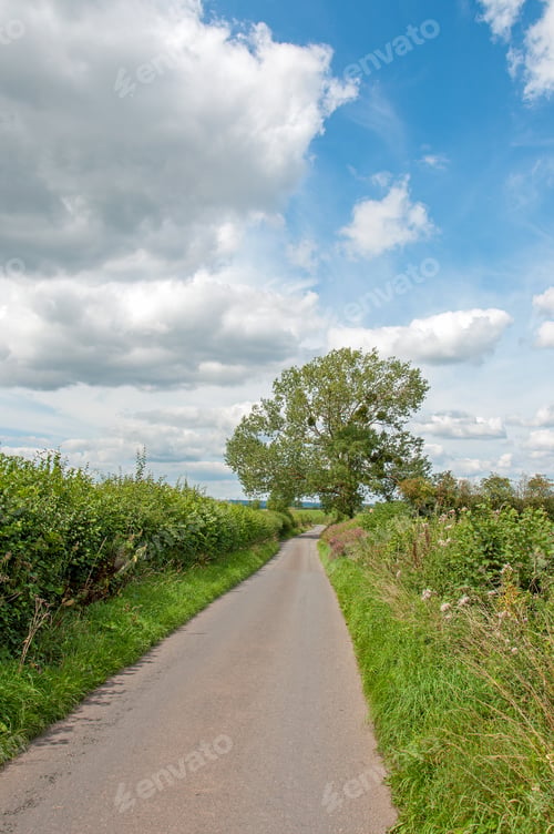 Preview: Springtime Landscape Down A British Country Road.