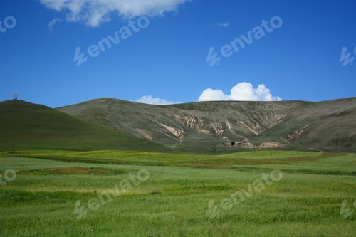 Preview: Summer Landscape