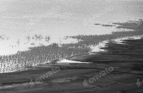 Preview: Thousands Of Lesser Flamingos At Lake Bogoria, Kenya