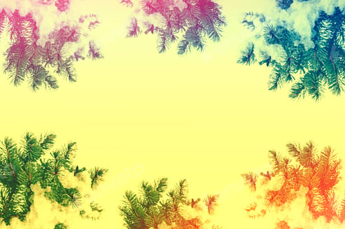 Preview: Frozen Winter Forest With Snow Covered Trees. White Pine Branch.