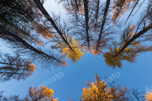 Preview: Autumn In The Valley Of The Seven Lakes In Julian Alps