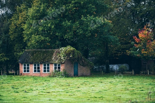 Preview: Old Overgrown Shed In Meadow Under Trees