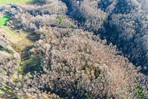 Preview: Aerial View Over The Landscape In Autumn