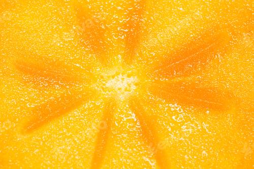Preview: Persimmon Slice - Texture