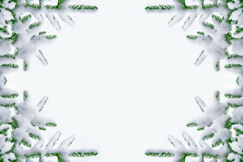 Preview: Forest In The Frost. Winter Landscape. Snow Covered Trees.