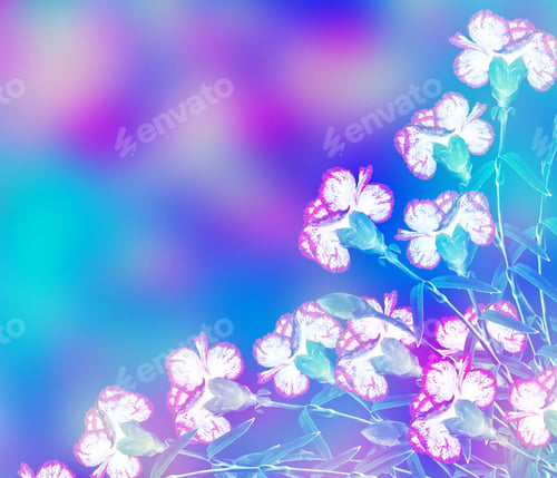 Preview: Bouquet Of Flowers Carnation.