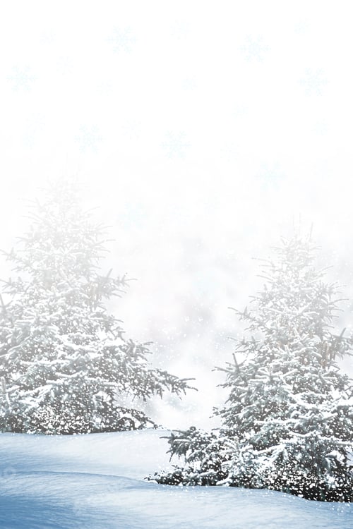 Preview: Winter Forest. Winter Landscape.