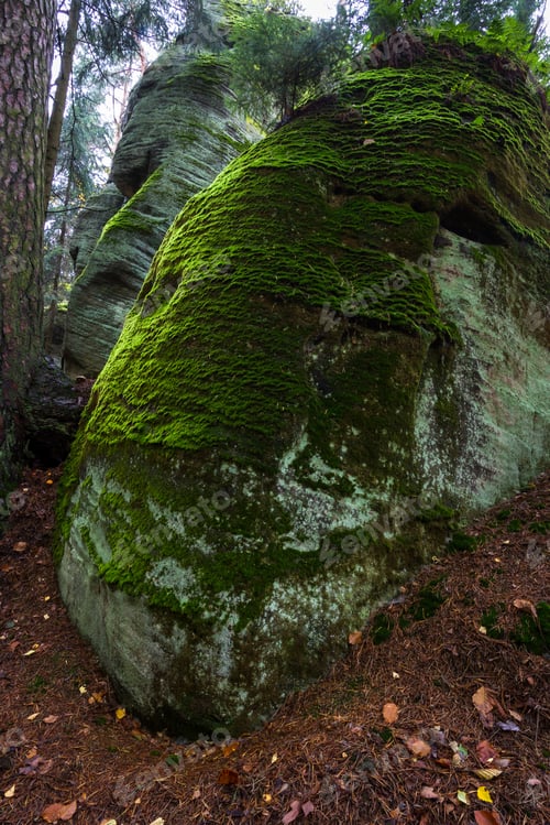 Preview: National Park Of Adrspach-Teplice Rocks. Rock Town. Czech Republic