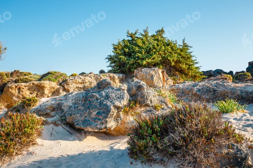 Preview: Elafonissi Beach With Pink Sand On Crete Island, Greece