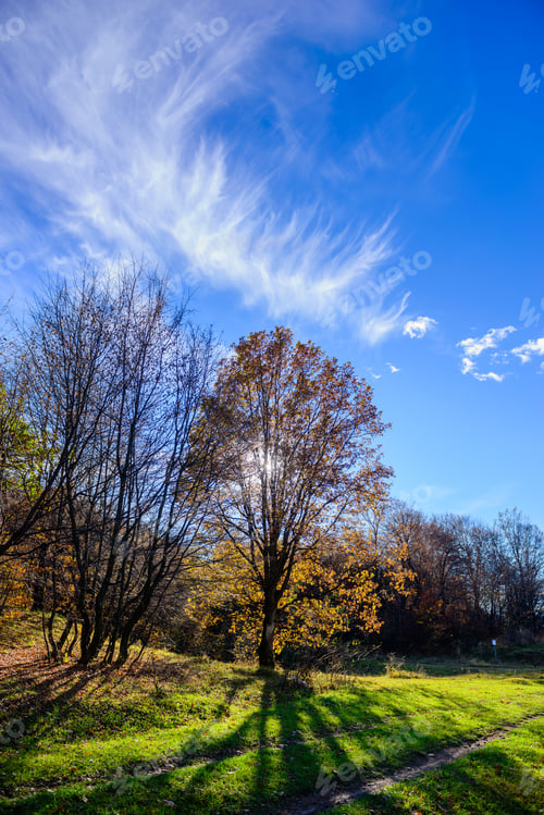 Preview: Beautiful Forest Landscape With Amazing Clouds, Armenia