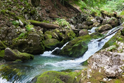 Preview: Landscape With A River In Mountains And Forest