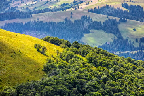 Preview: Slope Of Mountain Range With Forest And Meadow