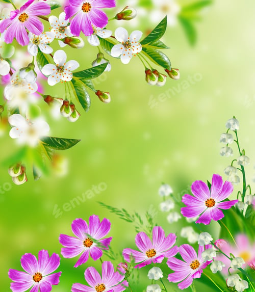 Preview: Bright Colorful Spring Flowers. Floral Background. Lilies Of The Valley And Cosmos