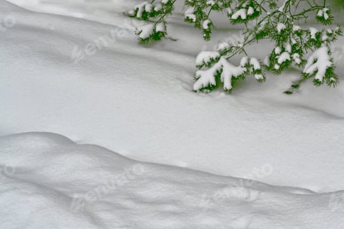 Preview: Forest In The Frost. Winter Landscape. Snow Covered Trees.