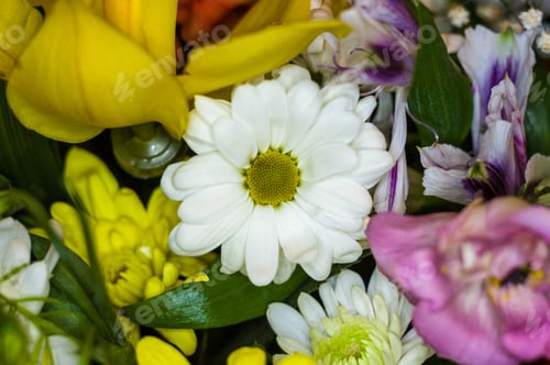Preview: Beautiful Gift Bouquet Of Various Colorful Decorative Summer Flowers