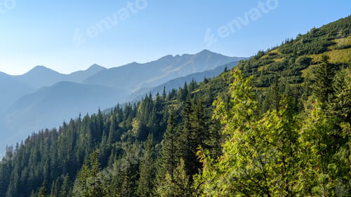 Vorschau: Nebeliger Sonnenaufgang in der slowakischen Tatra mit hellen Gassen im Nebel über dunklem Wald. Herbstanfang