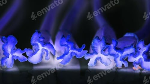 Preview: Abstract Composition With Tulip Pestles, Water Drops And Inverted Colors