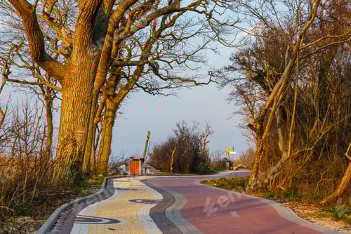 Preview: A Bicycle Path Along The Seashore, Poland