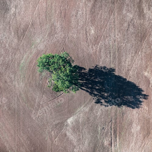 Preview: Aerial View Over The Rural Fields