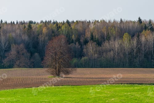 Preview: Agricultural Fields In Springtime
