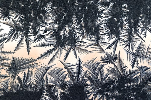 Preview: Ice Flowers On Glass - Texture