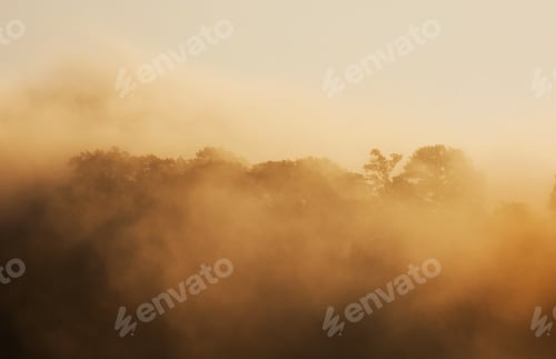 Preview: Foggy Landscape