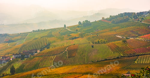 Preview: Amazing Autumnal Landscape In The Langhe, Famous Vineyard Area In Piedmont, Italy
