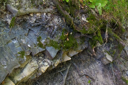 Preview: Rocks And Stones Of The Sea Coast