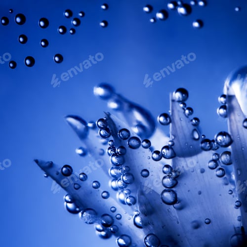 Preview: Underwater