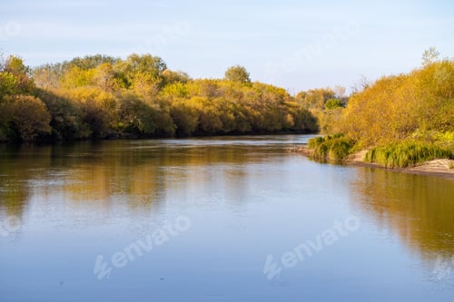 Preview: Autumn Landscape, Grass Of A River Tree Against The Sky.