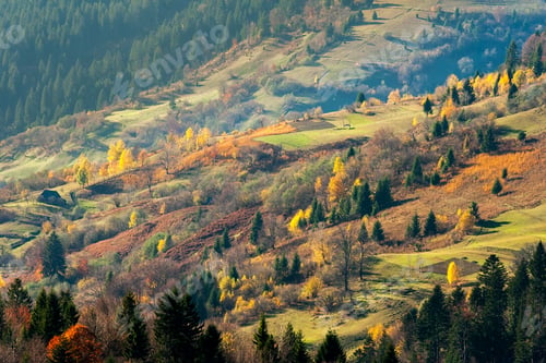 Preview: Autumn Slope Of Mountain Range With Coniferous Forest And Village