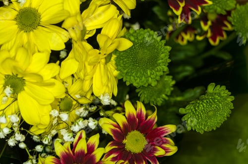 Preview: Beautiful Gift Bouquet Of Various Colorful Decorative Summer Flowers