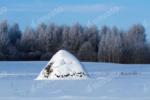 Preview: Frosty And Snowy Winter In Countryside