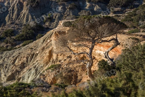 Preview: Views Of Micro Cyclades Island