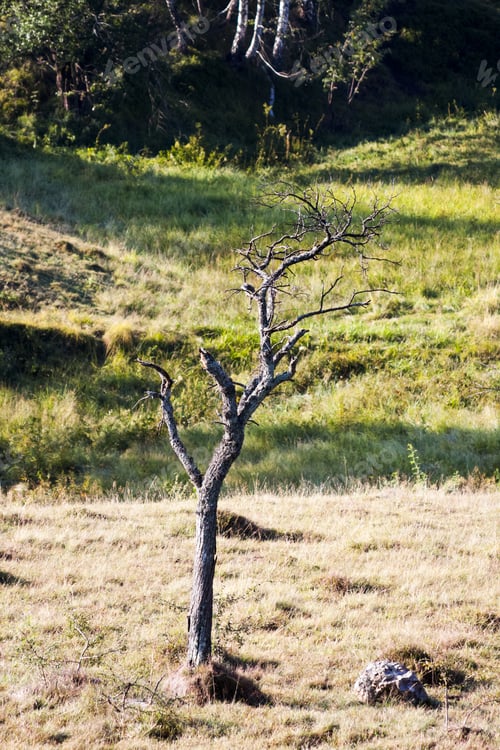 Preview: Romanian Mountain Landscape