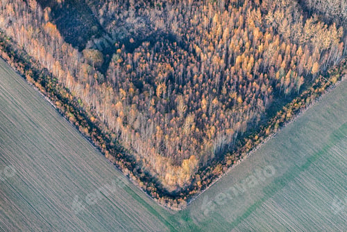 Preview: Aerial View Over The Rural Fields In Autumn