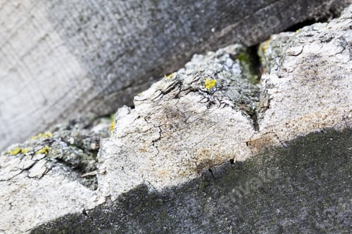 Preview: Wood Texture From Very Old, Weathered Pieces Of Tree Trunks With Tree Bark