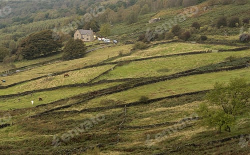 Preview: Derbyshire Dales