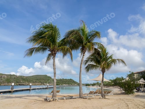 Preview: Beach And Swimming Pool Curacao In The Dutch Antilles A Caribbean Island