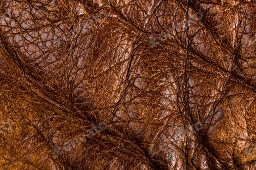 Preview: Old Vintage Genuine Soft Brown Leather Texture Background, Top Layer With Pores And Scratches