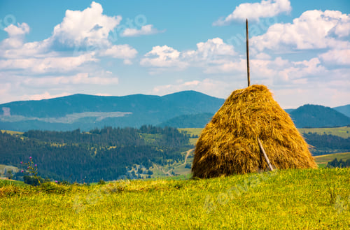 Preview: Haystack On A Grassy Field On Top Of A Hill. Beautiful Mountainous Countryside Scenery In Summer