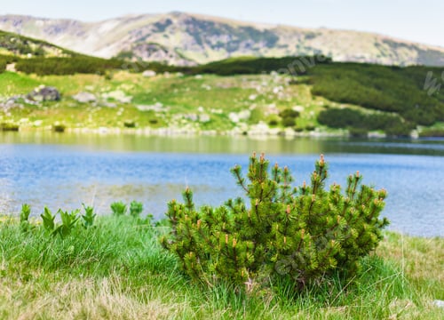 Preview: Landscape From Glacial Lake Calcescu In Parang Mountains In Romania