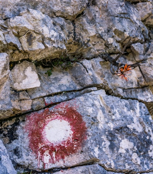 Preview: Mountain Sign And A Red Tiny Pine Tree Branch