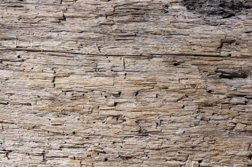 Vista previa: Textura de madera flotante vieja, arrastrada por el mar