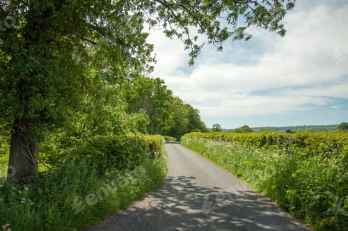 Preview: Summertime Shrubbery Down A Country Road In The United Kingdom.