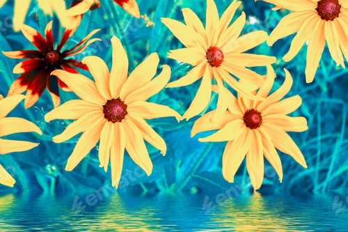 Preview: Colorful Rudbeckia Flowers On A Background Of The Autumn Landscape. Nature