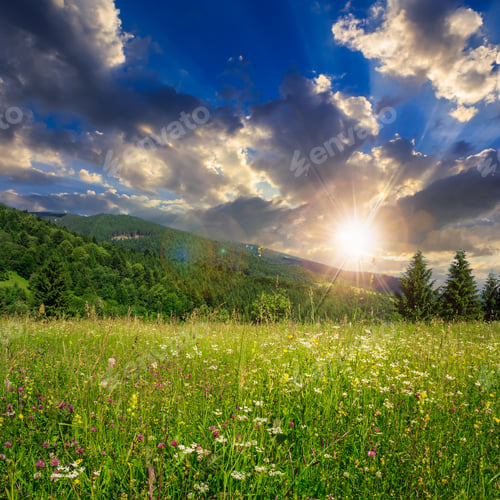 Preview: Mountain Summer Landscape. Pine Trees Near Meadow And Forest On Hillside Under Sky With Clouds At